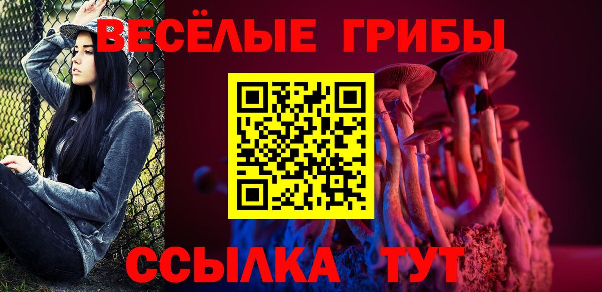 Галлюциногенные грибы ЛСД Новороссийск