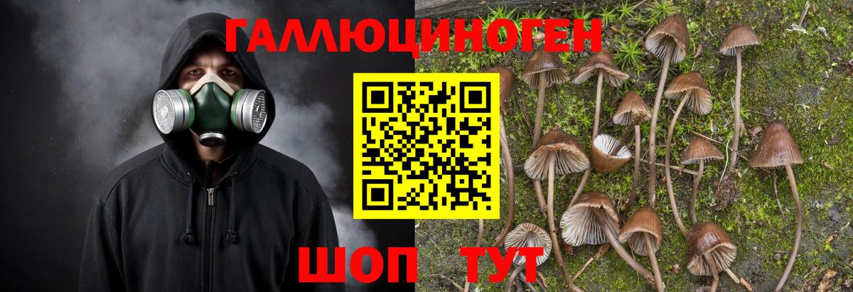 Галлюциногенные грибы прущие грибы  Вход с VPN  Новороссийск 
